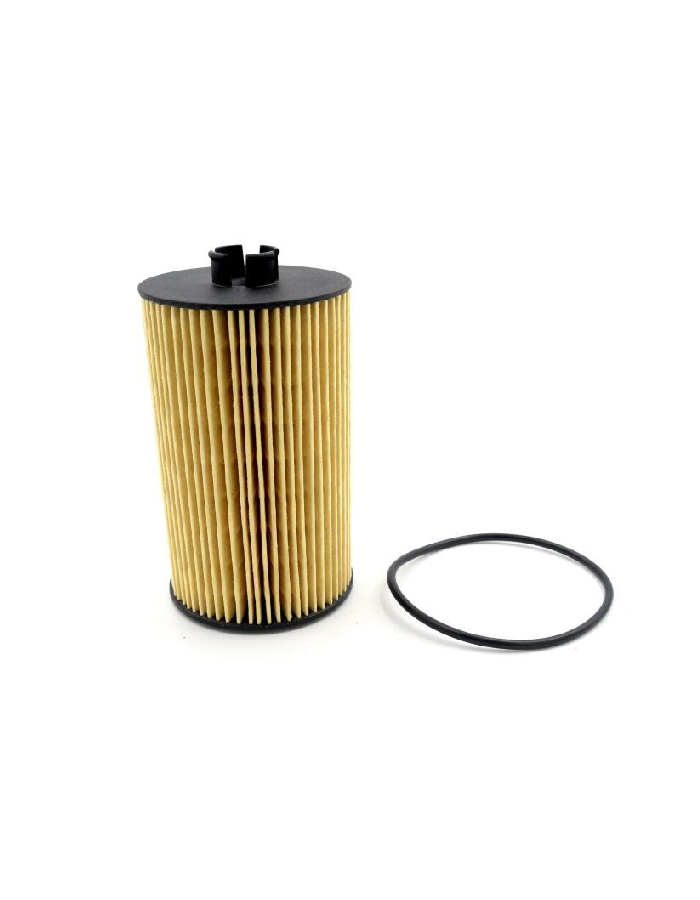 Oil Filter Cartridge Monsoon