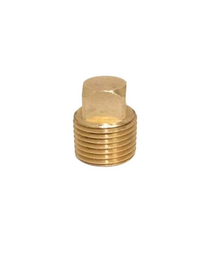 Brass Plug Transom
